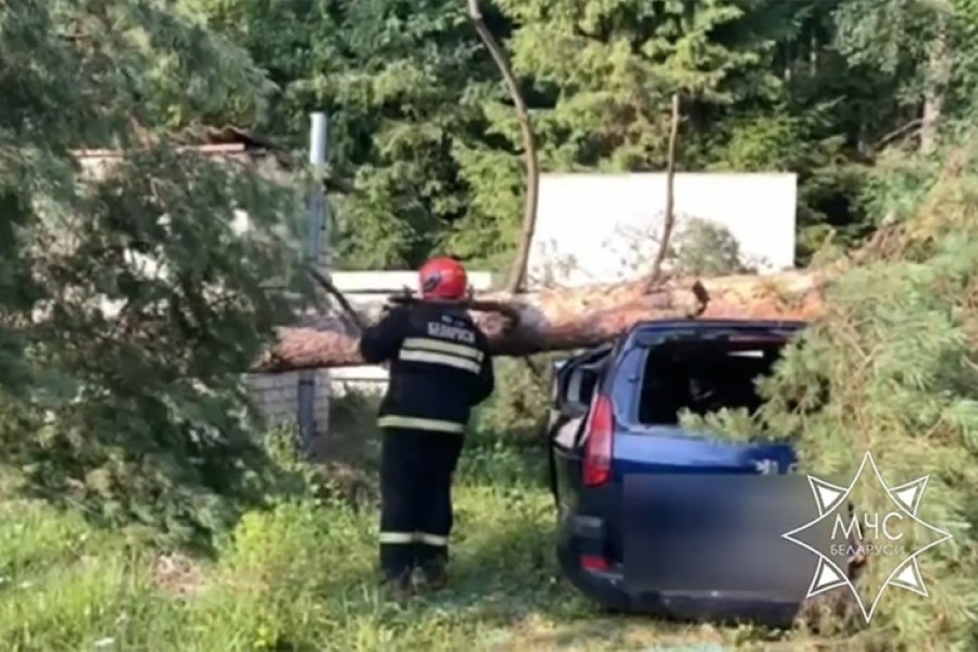 Упавшие из-за сильного ветра деревья повредили 14 машин по всей стране - МЧС