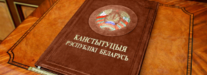 Любецкая: в проекте обновленной Конституции усилена социальная направленность