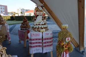 Воложин встречает «Дажынкi»