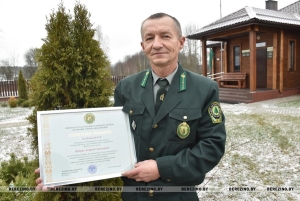 В лесу мне дышится легко