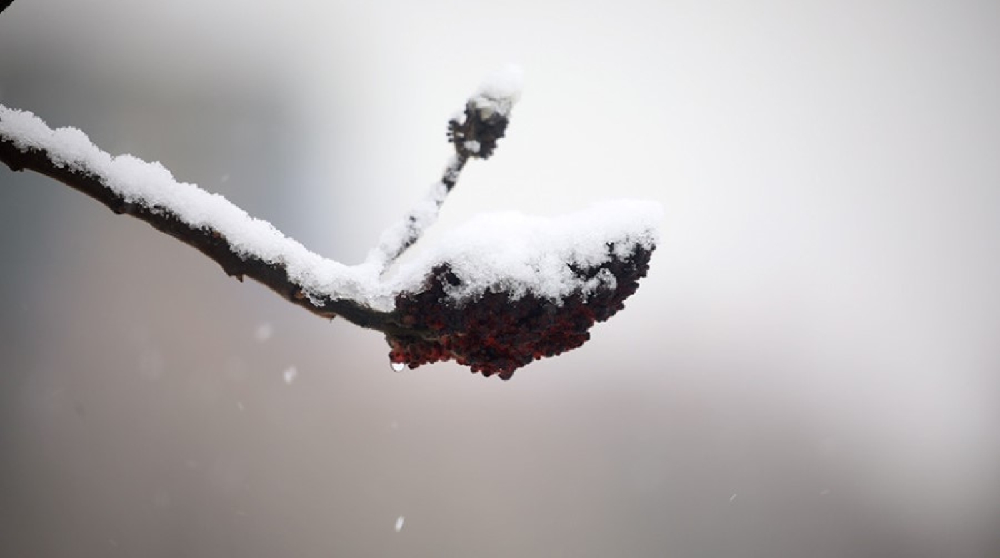 Сохранится ли теплая погода в Беларуси 29 декабря, рассказали синоптики