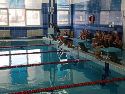 Соревнования по плаванию в семейном формате, а также для школьников