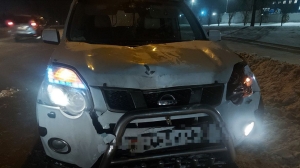 Из-за обледенения лобового стекла автомобилист сбил трех пешеходов в Жодино