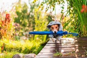 Шансов на возврат очень теплой погоды немного. Рябов — о погоде на неделе с 18 по 24 августа