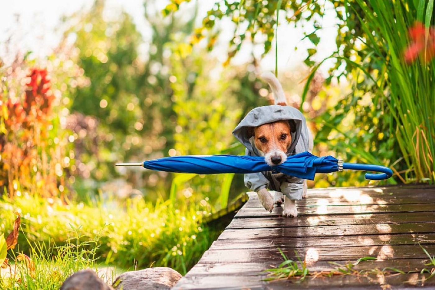 Шансов на возврат очень теплой погоды немного. Рябов — о погоде на неделе с 18 по 24 августа