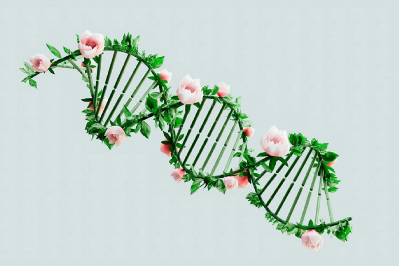 От чего зависит красота? Ученый рассказал, что важнее: гены или образ жизни