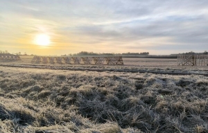 Народный календарь на 3 февраля 2025: что можно и нельзя делать, приметы и праздники