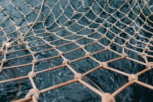 Совместная работа МРИ с Березинским РОВД: обнаружены и изъяты незаконно хранящиеся запрещённые орудия рыболовства