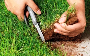 Ответственность, предусмотренная законодательством за самовольное занятие земельного участка!