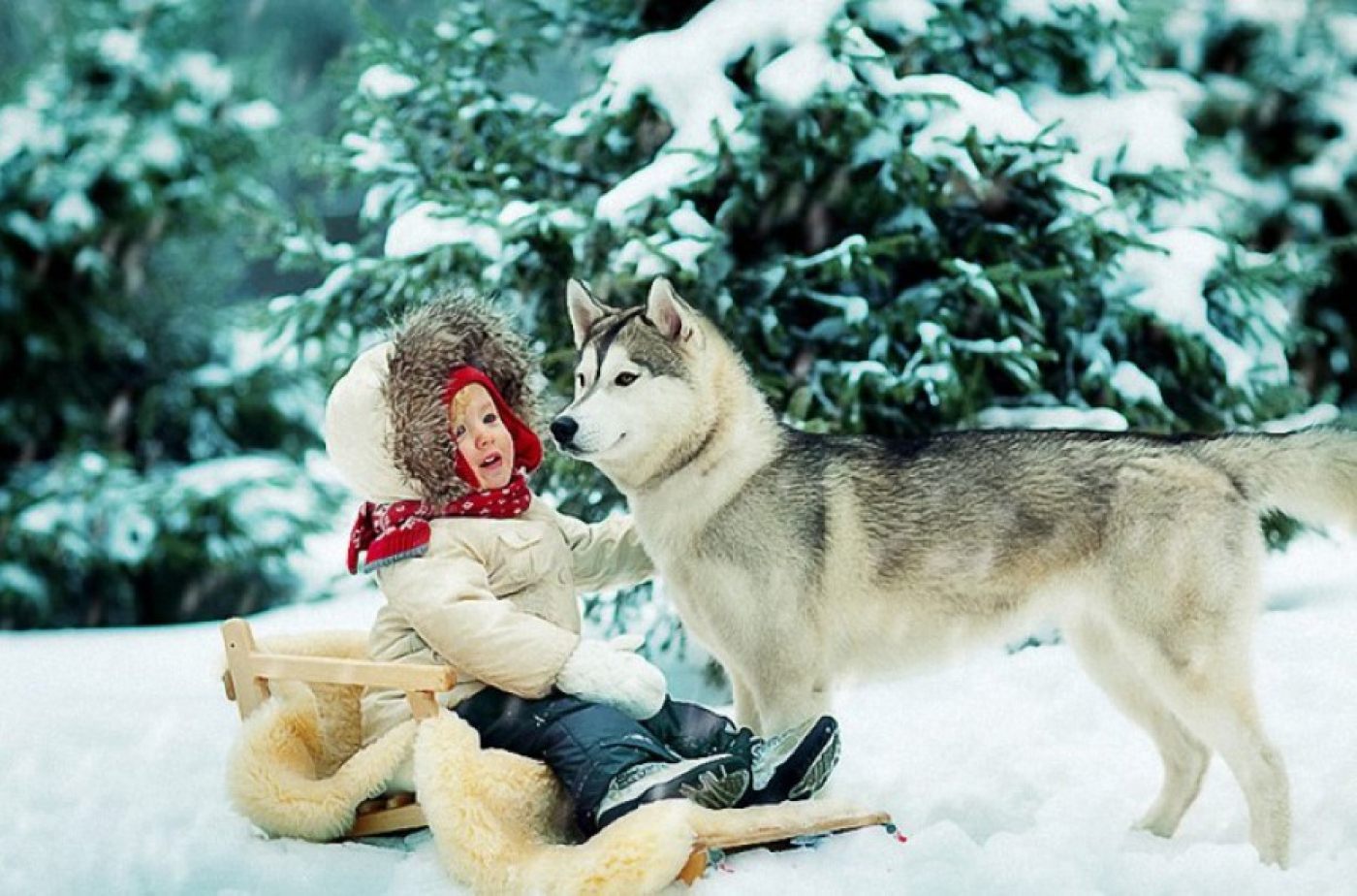 Волшебная зима дети и животные