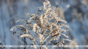 Снег и гололедица ожидаются в Беларуси 17 февраля