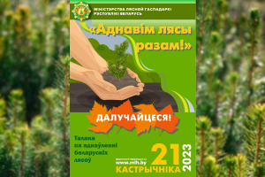 Запрашаем усіх бярэзінцаў далучыцца да акцыі &quot;Адновім лясы разам!&quot;!