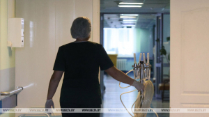 Бледную поганку перепутали с зеленушкой: в Минске семья попала в реанимацию с отравлением