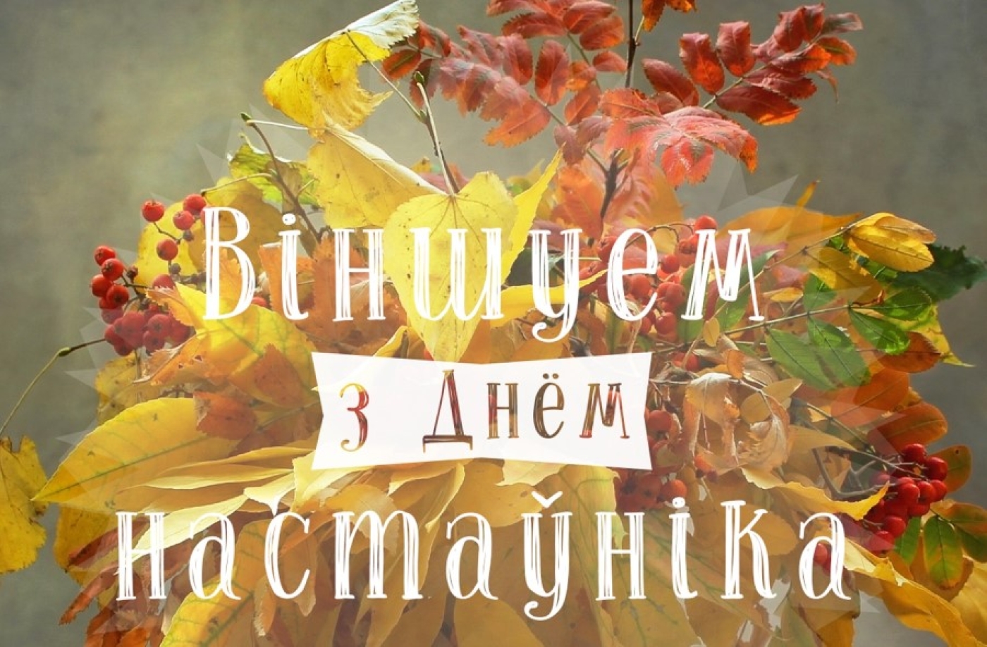 Паважаныя калегі, ветэраны педагагічнай працы!