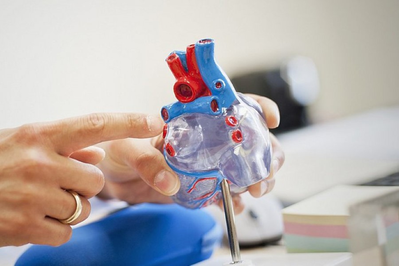 Кардиолог перечислила частые причины сердечной недостаточности