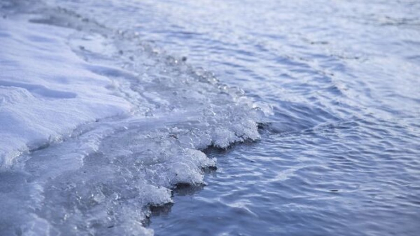 В Червенском районе в реке Свислочь утонул пенсионер