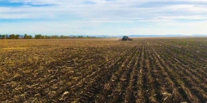 В Беларуси завершили сев однолетних трав