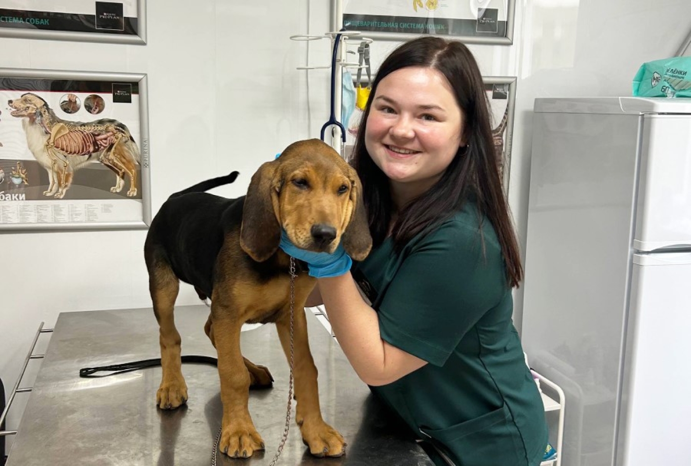 С заботой о братьях наших меньших