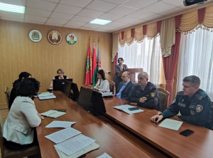 Вопросы демографической ситуации в Березинском районе обсудили на очередном заседании  совета по демографической безопасности