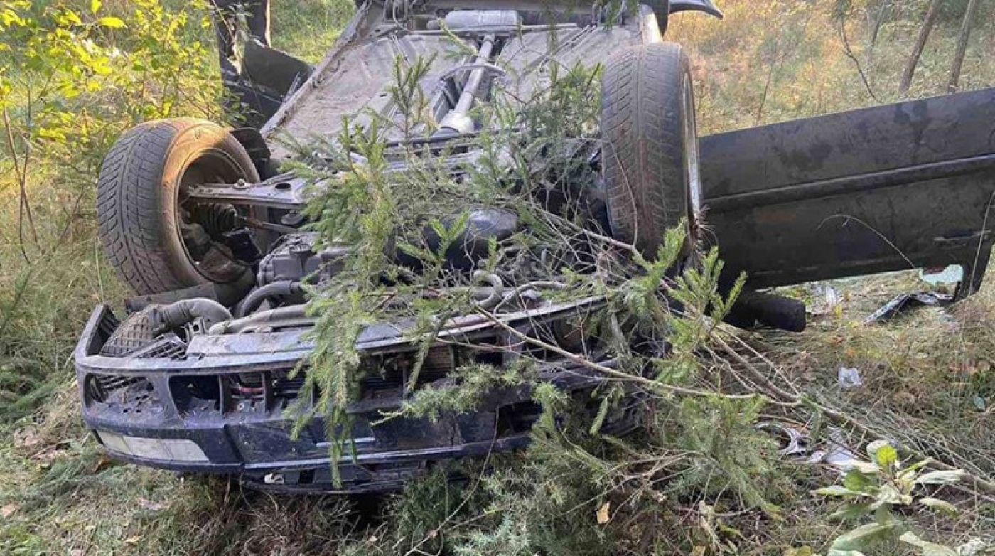 В Барановичском районе выбежавший на дорогу лось спровоцировал ДТП. Трех человек доставили в больницу