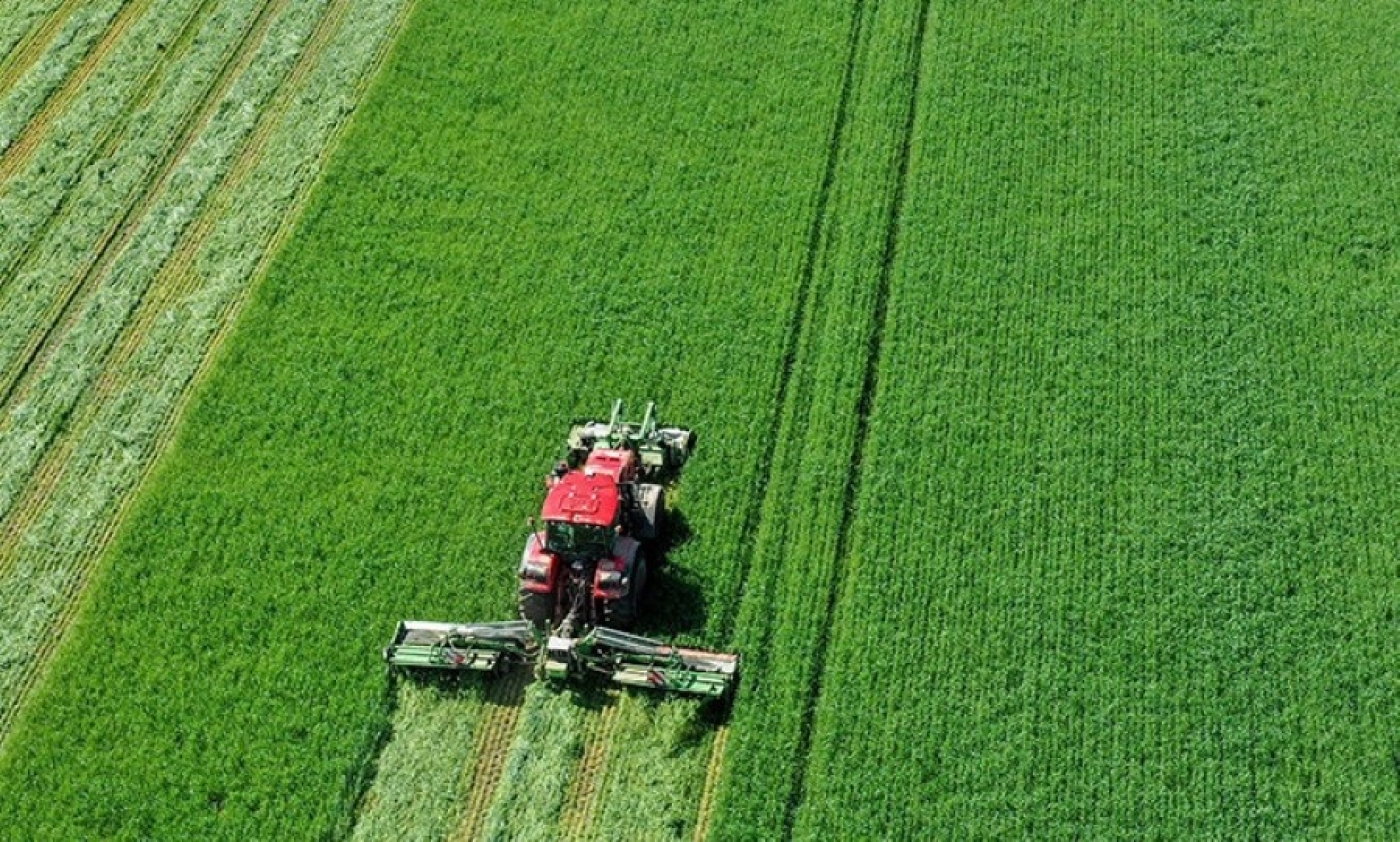 В Беларуси заготовлено свыше 85% трав первого укоса