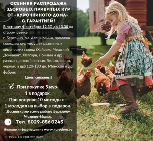 Осенняя Распродажа здоровых привитых кур от Курочкиного Дома с гарантией!