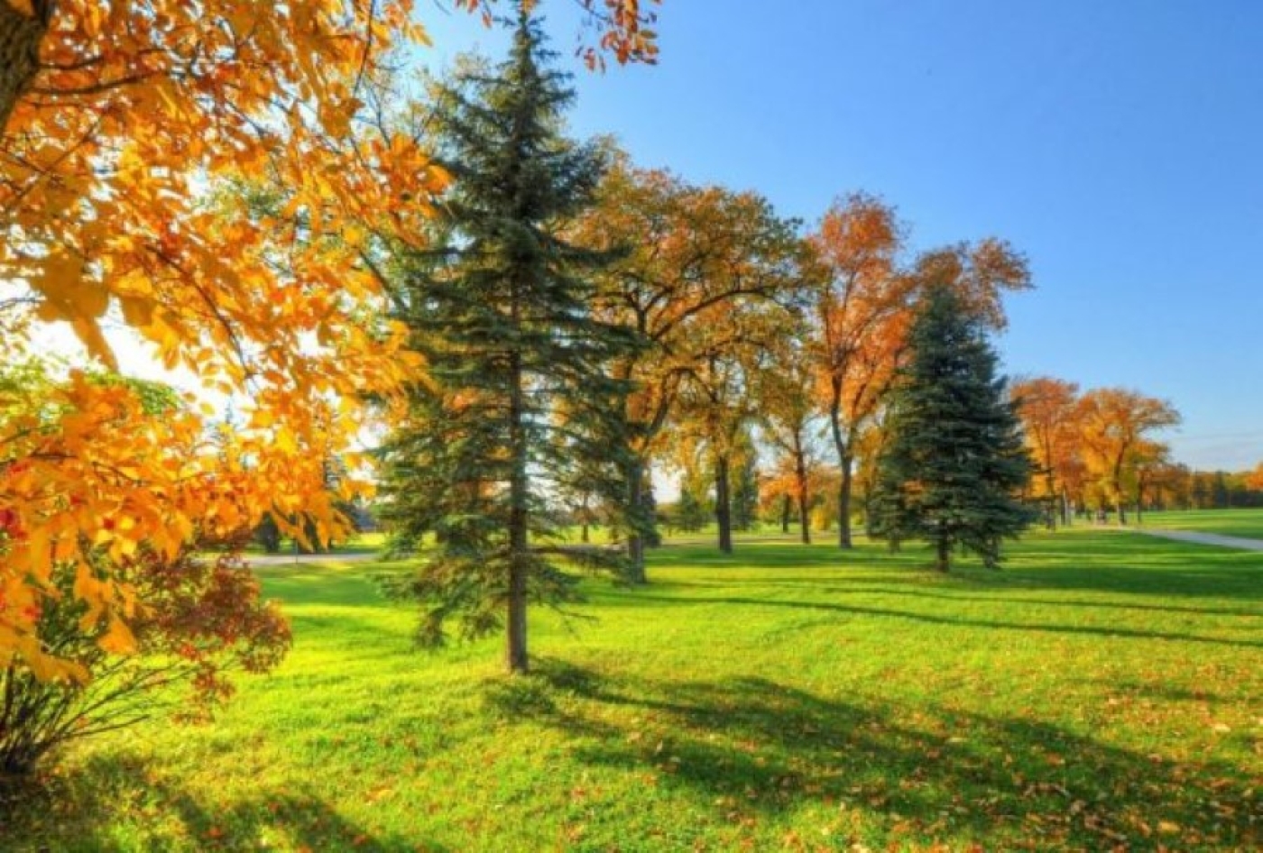 Погода в выходные: преимущественно без осадков и до +24 °С