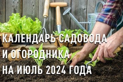 Лунный календарь садовода и огородника на июль 2024 года