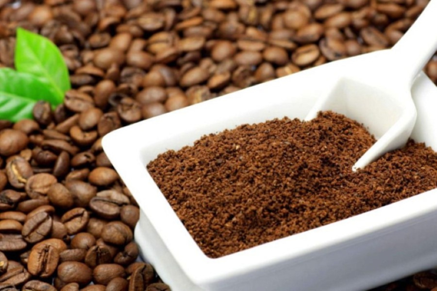 Секрет дачников: кофе превращает грядки в плодородный рай