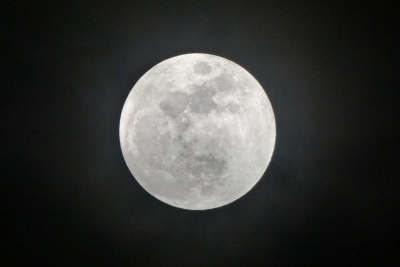 Лунный календарь для садоводов и огородников с 21 по 23 апреля 2026 года