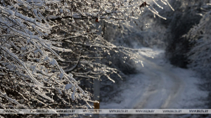 Резкое похолодание, сильный ветер, гололедица. Какой будет погода в Беларуси с 6 по 11 января