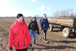 На полях – трудовой десант