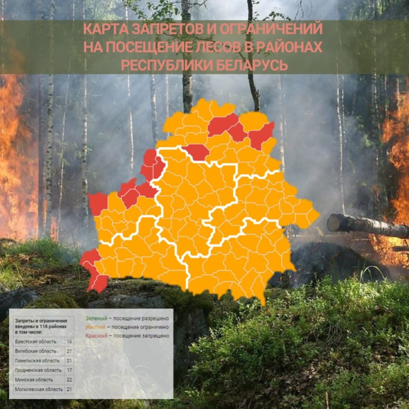 Во всех районах Минской области введены ограничения на посещение лесов