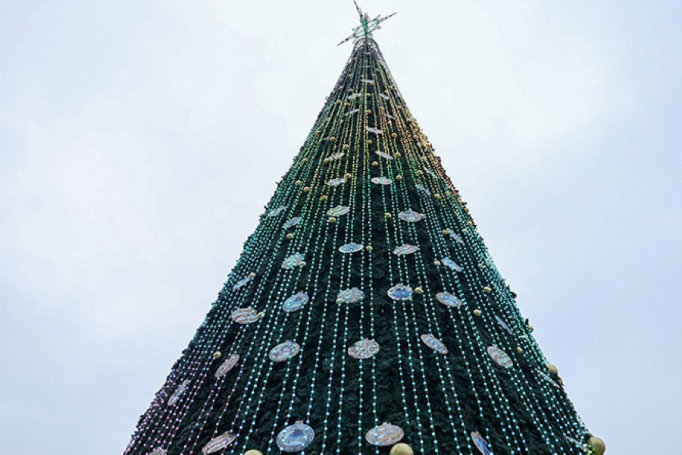 Главная елка страны засияет в Минске 15 декабря