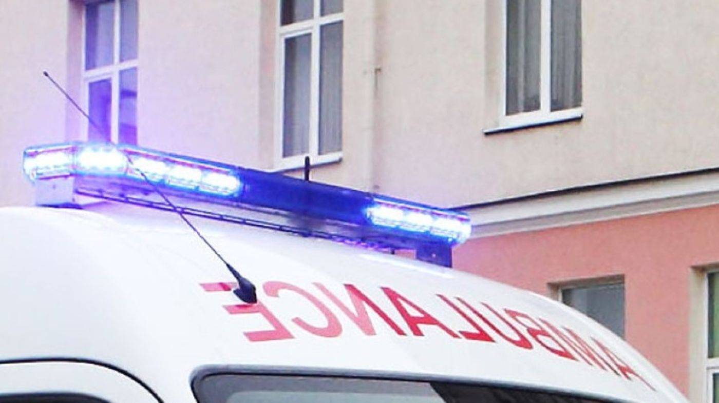 "Минимум 37 укусов". Житель Березинского района умер, пытаясь убрать пчелиное гнездо