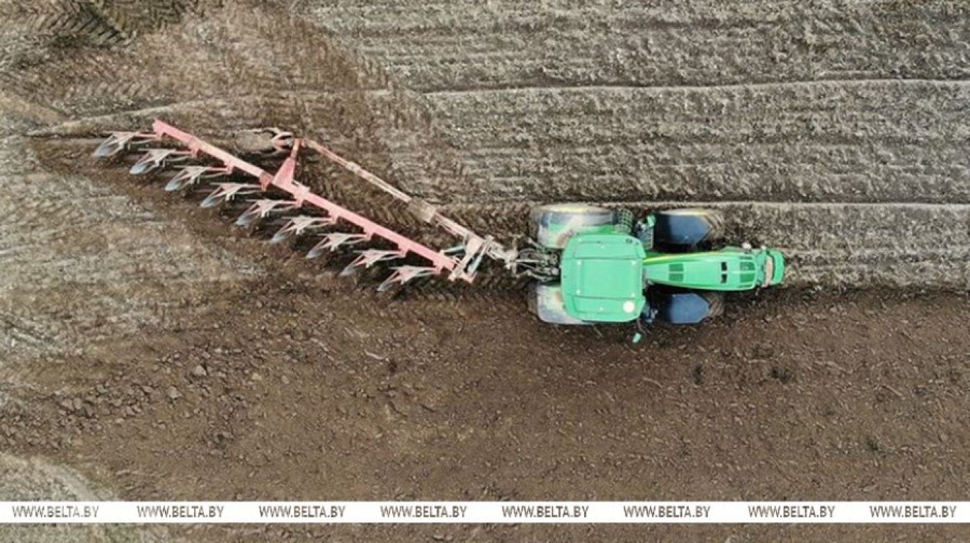 "Надо работать день и ночь". Лукашенко требует от аграриев вовремя завершить осенние полевые работы