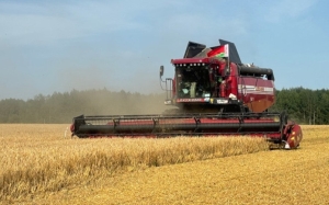 Хлеборобы Минской области намолотили миллион тонн зерна