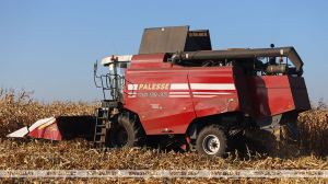 В Беларуси намолочено 10 млн тонн зерна с учетом рапса и кукурузы