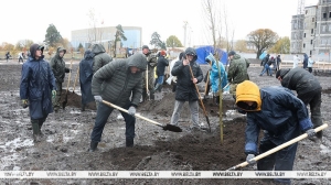 Липы, тополя, дубы высадили на территории парка Народного единства в Минске