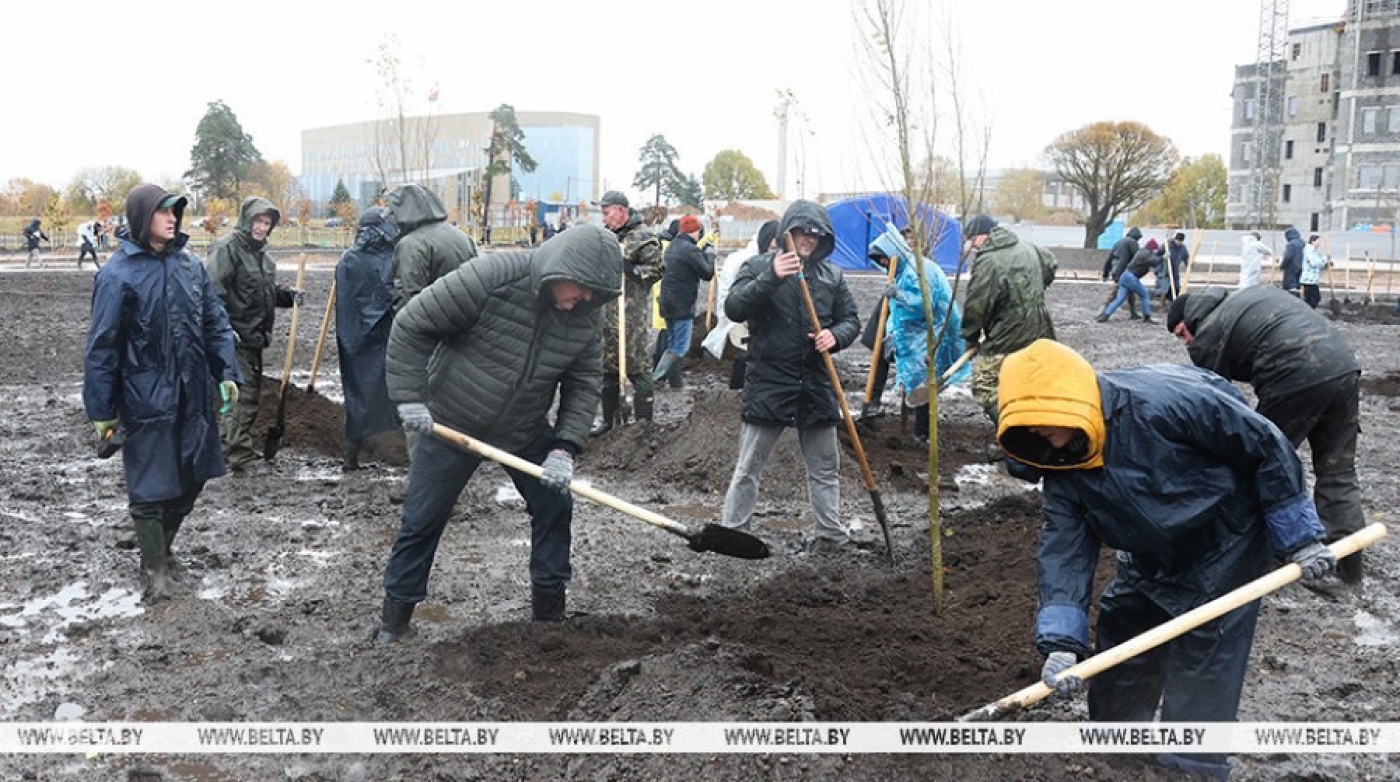 Липы, тополя, дубы высадили на территории парка Народного единства в Минске