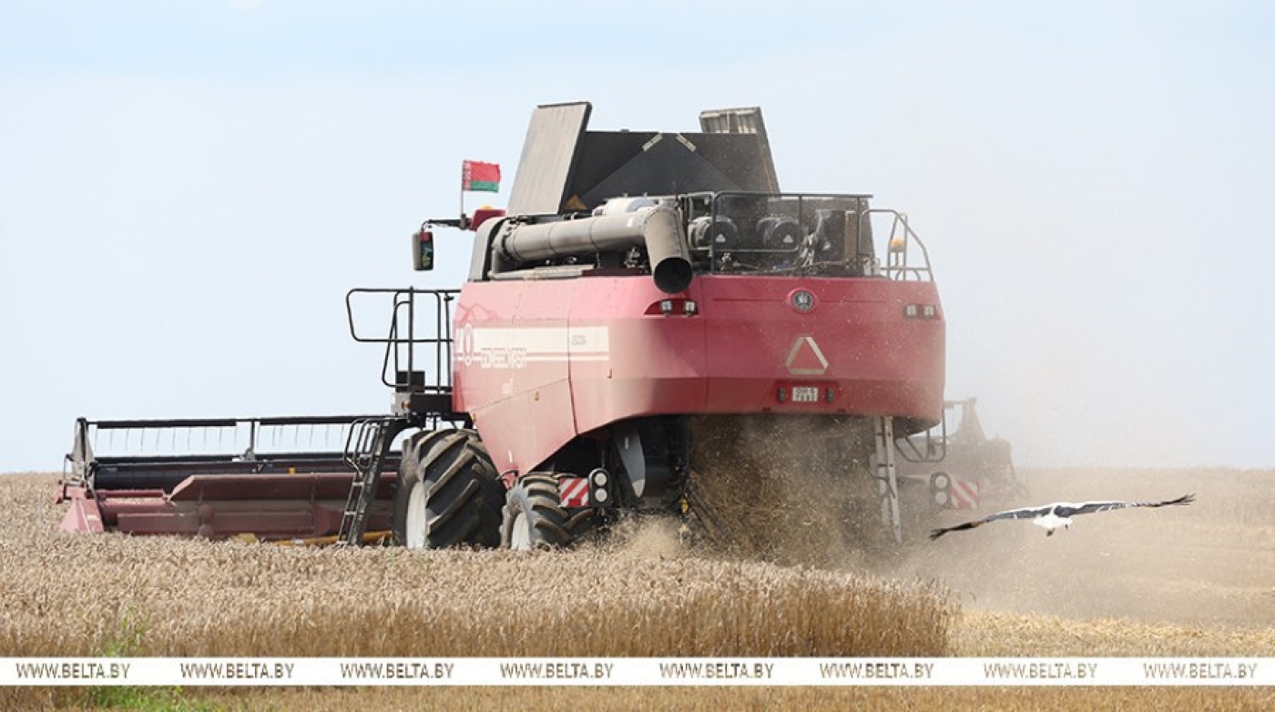 В Минской области намолотили более 500 тыс. тонн зерна