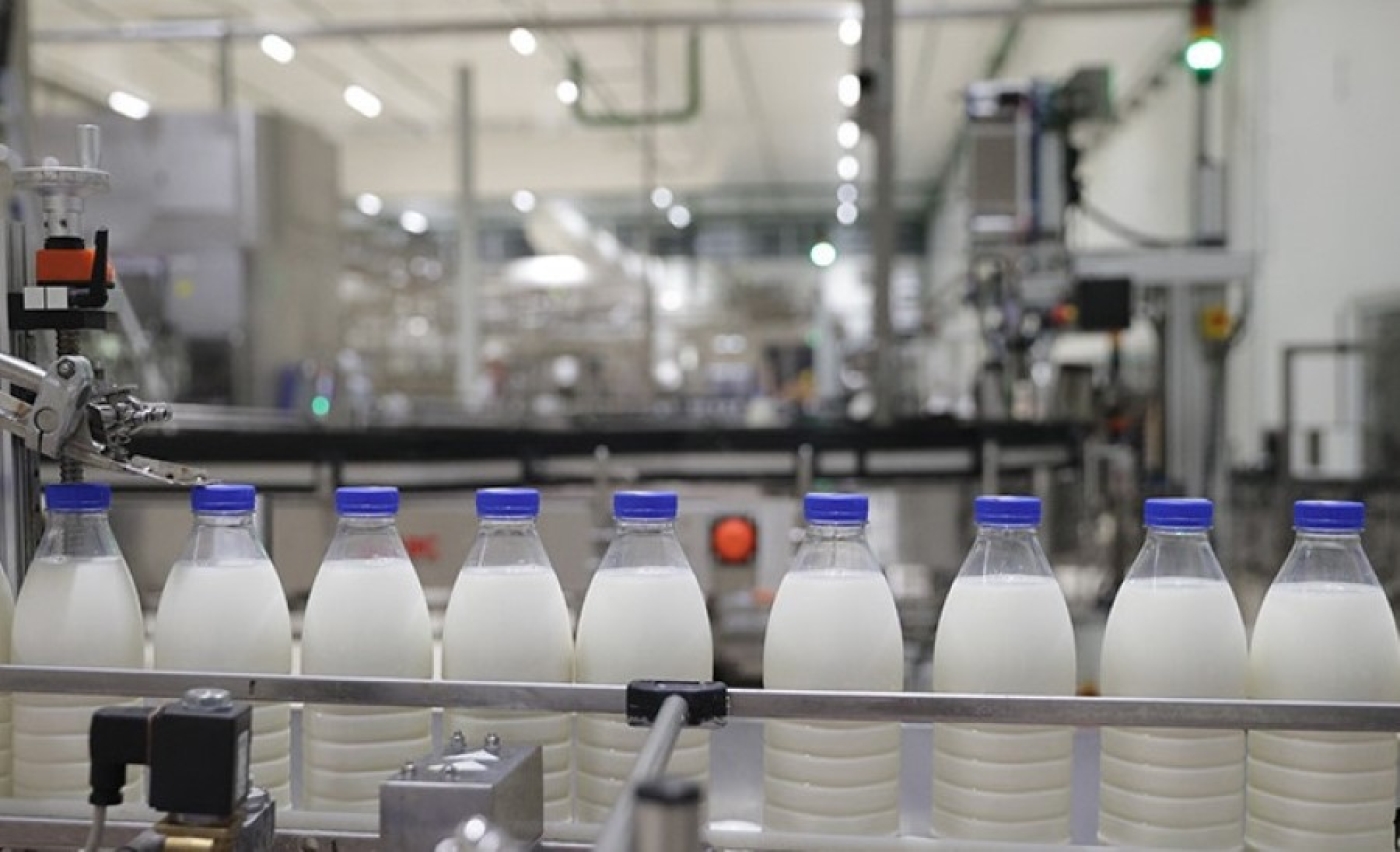 Сколько зерна, молока, мяса и овощей производят в Беларуси на душу населения, рассказали в Белстате