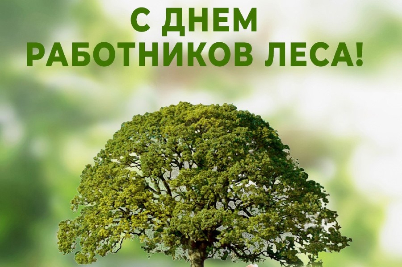 Поздравляем вас с профессиональным праздником – Днем работников леса!
