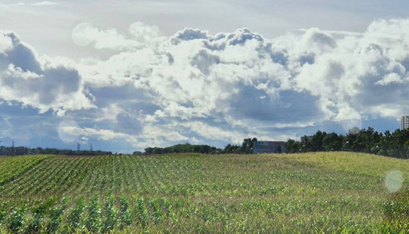 До +22°С будет сегодня в Беларуси