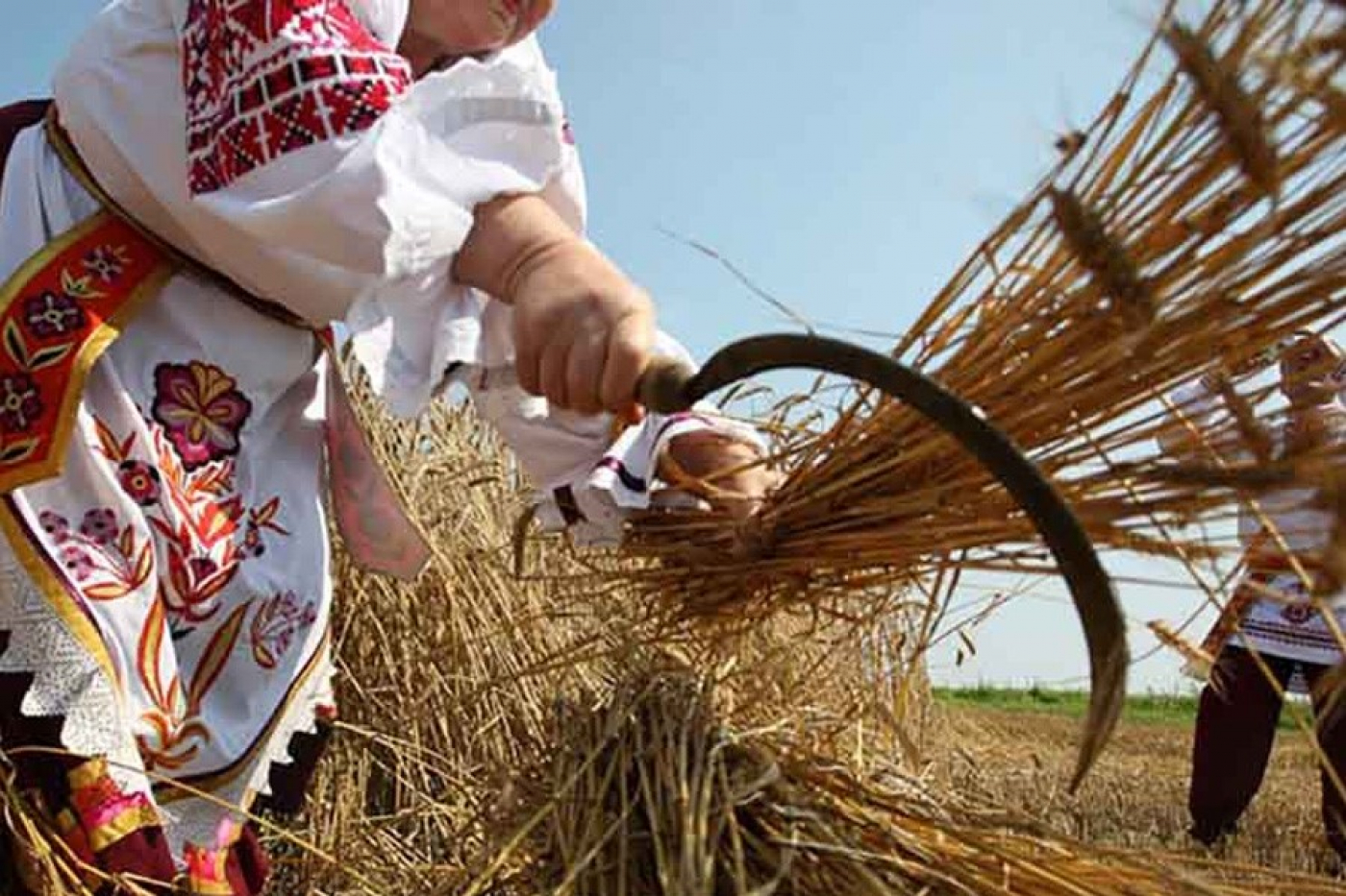 Уже завтра Дожинки. Приглашаем всех на праздник!