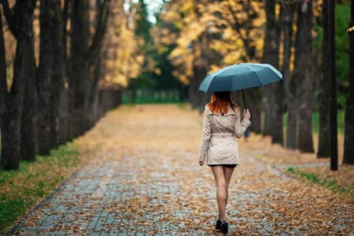 Погода в Беларуси 24 октября: дожди, туман и от +6 °С до +17 °С