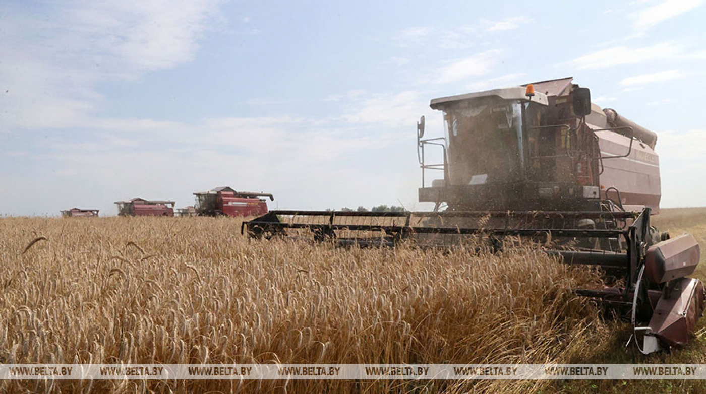 Сергеенко об уборочной: слагаемые успеха - техническая составляющая и готовность людей