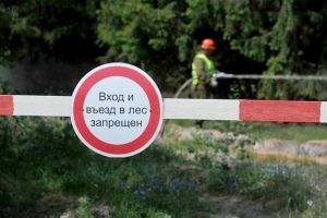 В Беларуси в 20 районах введены ограничения на посещение лесов, в том числе и в Березинсокм