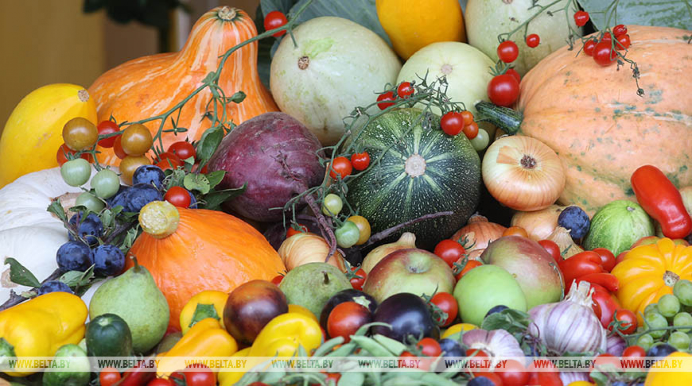 Овощи в хозяйствах Беларуси убрали с 37% площадей