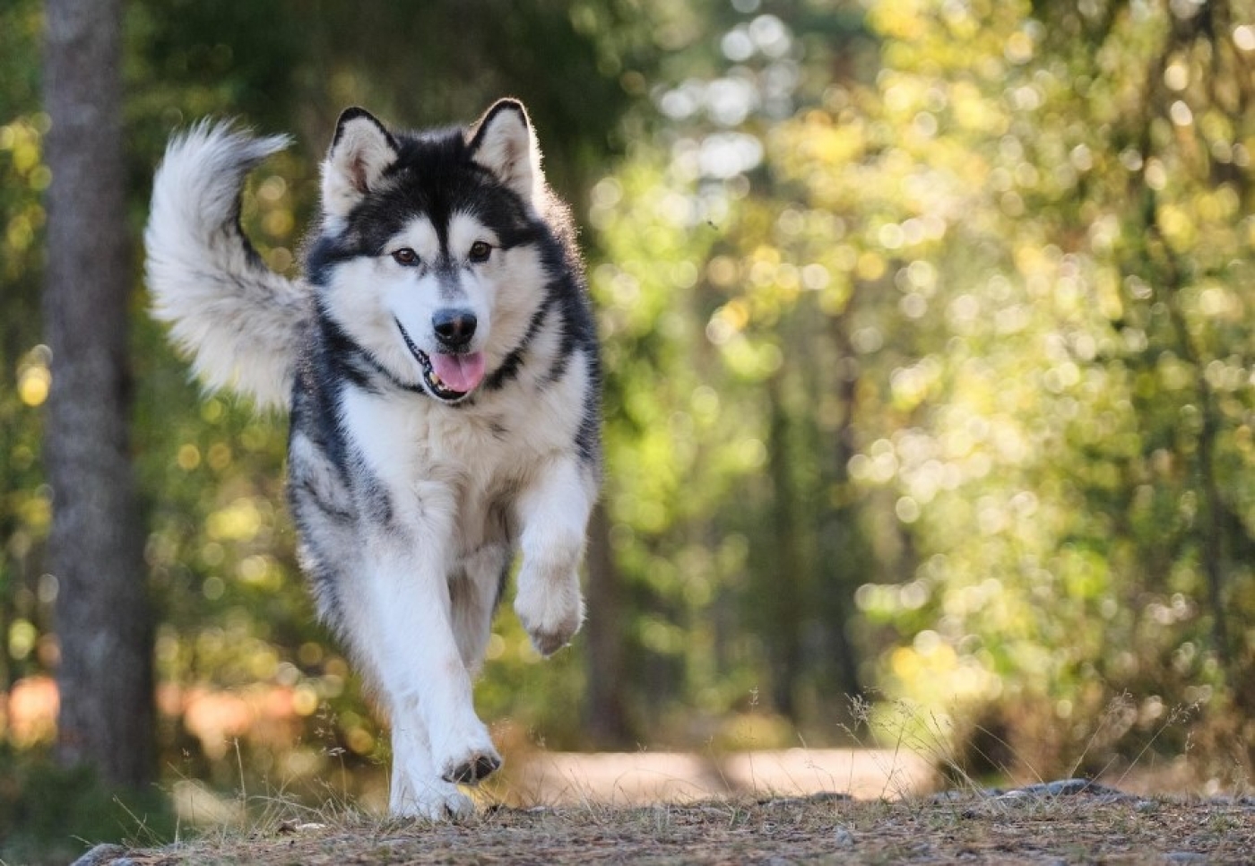 Погода в Беларуси 15 августа: без осадков, слабый туман и до +30 °С